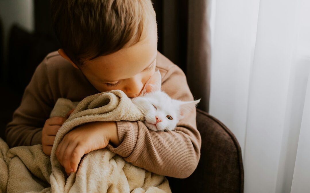 A young boy hugging and kissing a white cat wrapped in a beige blanket