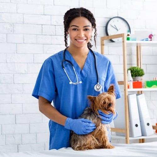 Cottage Pet Hospital building exterior